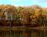 28-autumn-etang-de-bois-pouvreau