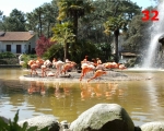 32_zoo-at-palais-sur-mer