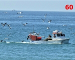 60_fishing-boat-in-quatiera-portugal