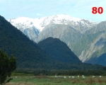 80_franz-josef-glacier-in-new-zealand