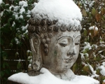 11_brrrr-buddha