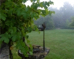 44_old-well-on-a-misty-morning-in-courge